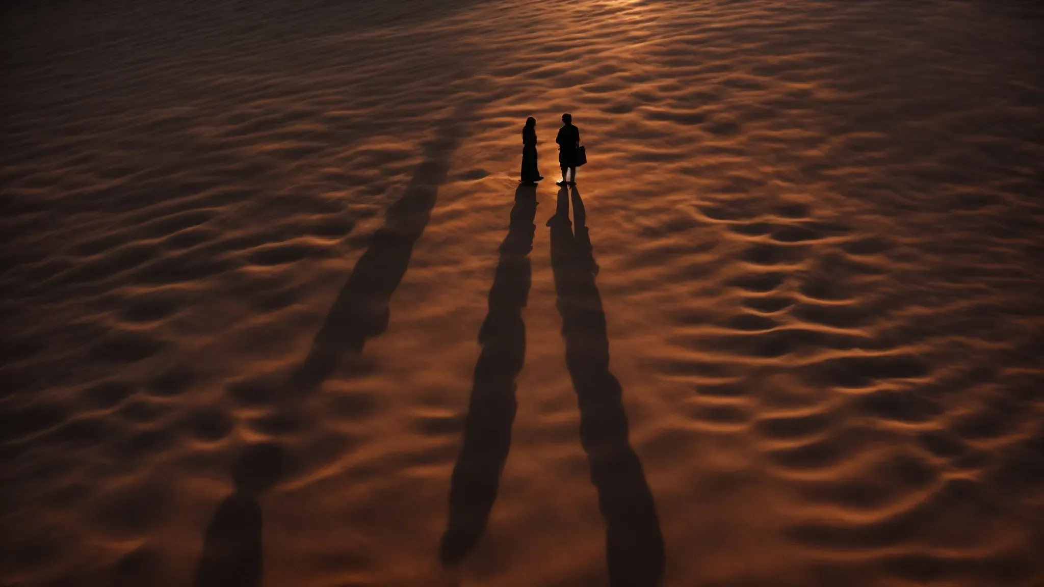 two silhouettes facing each other with a sunset in the background, their shadows merging on the ground.