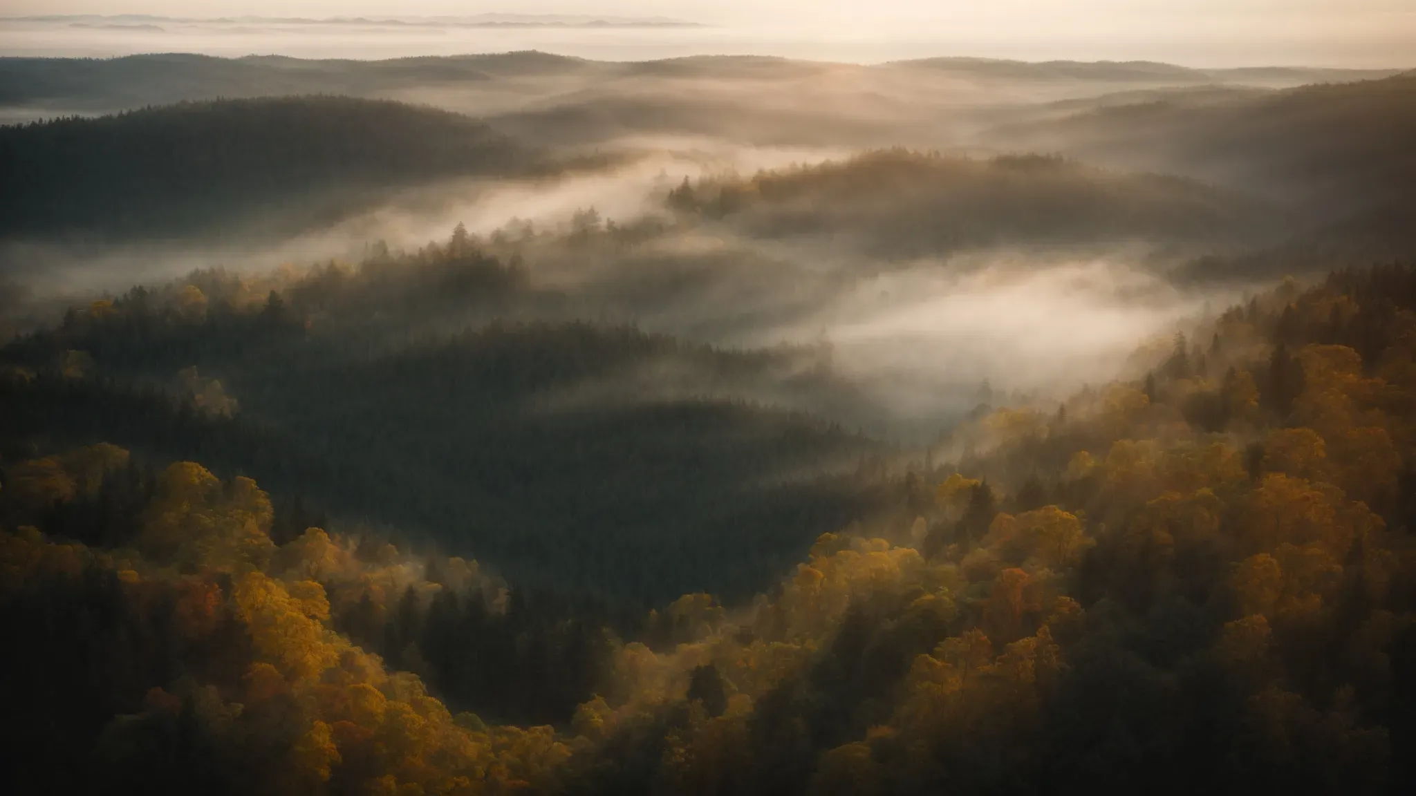 a drone hovers above a misty forest at sunrise, capturing the sprawling landscape beneath.