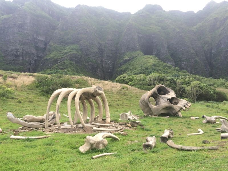 Behind the scenes on Kong: Skull Island filming in Hawaii