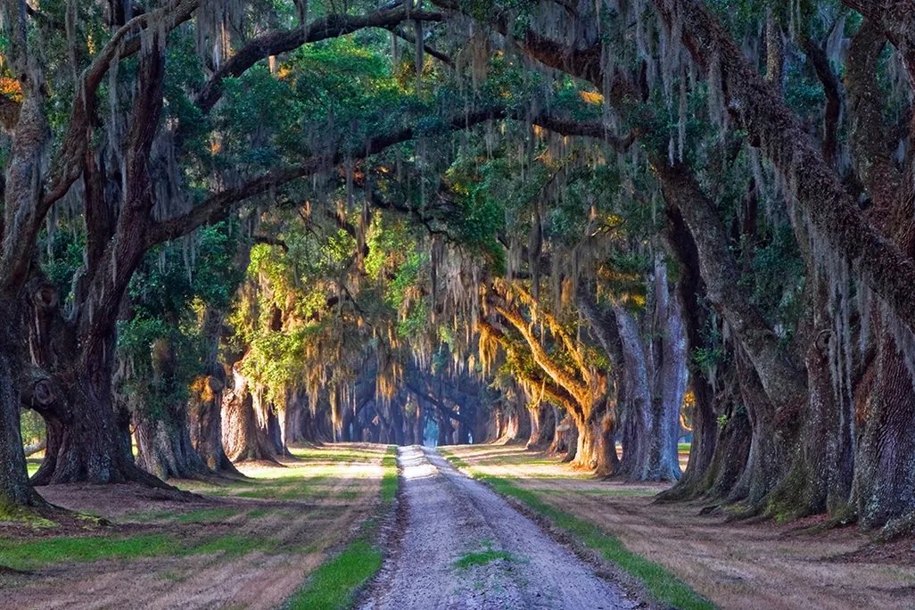 Behind the scenes on The Stand filming in South Carolina